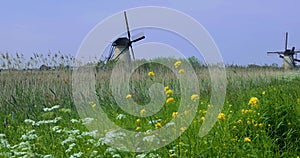 Historic wind mills at UNESCO world heritage site Kinderdijk in the Netherlands