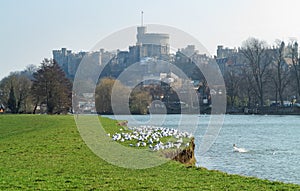 Historic Windsor Castle and the River Thames