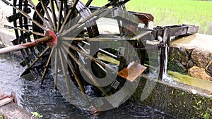 Historic wooden wheel in canal transports irrigation water to rice field