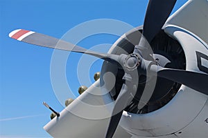 Historic World War II Propeller Plane