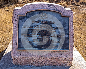 Historical 1936 Centennial marker for Wild Rose Pass along State Highway 17, 10 miles northeast of Fort Davis, Texas.