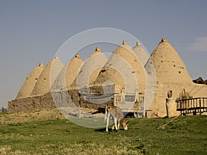 Historical and ancient Beehive houses in ÅžanlÄ±urfa,Turkey