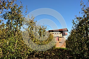 A historical block house in a pear orchard