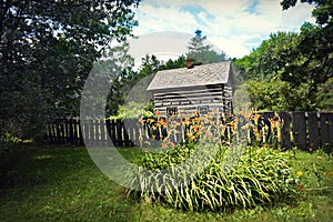 Historical Building Daylilies