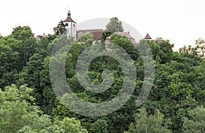 Historical building hidden behind trees