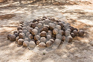 Historical cannonballs photo