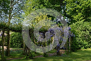 Historical Castle and Garden on Peacock Island in Spring, Wannsee, Zehlendorf, Berlin