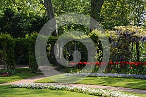 Historical Castle and Garden on Peacock Island in Spring, Wannsee, Zehlendorf, Berlin photo