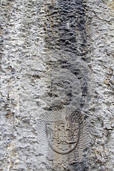 Historical climbing route in Belvedere climbing garden photo