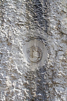 Historical climbing route in Belvedere climbing garden photo