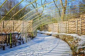 Historical Dutch duck decoy covered with a layer of snow