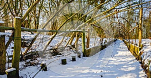 Historical Dutch duck decoy in wintertime