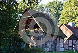 Historical Farm in Autumn in the Heath Lueneburger Heide, Walsrode, Lower Saxony