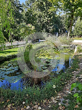 Historical fish pond and vegetation in the middle of the hostorical church yard. Late autumn sight.