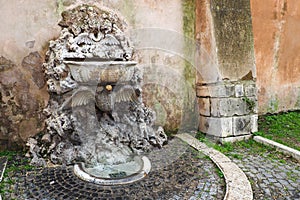 Historical gardens of St. Alexius in Rome, italy photo