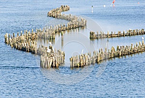 Historical herring weir