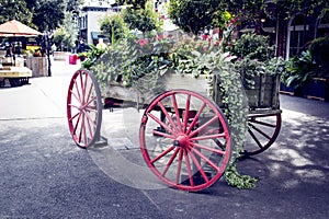 A historical horse buggy