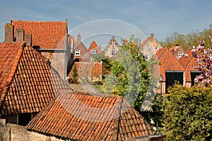 Historical houses and roofs in Heusden, North Brabant