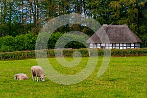 Historical houses at St. Fagans National Museum of History