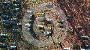 Historical Jewish and Karaite cemetery in  Birzai, Lithuania, aerial