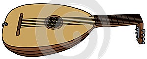 Historical lute