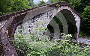 Historical Mikron Bridge