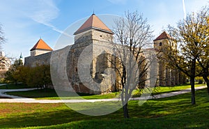 Historical monument of Hungary - Varpalota Castle, survived many bloody sieges photo