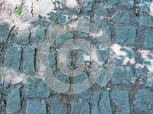 Historical old cobble stone way lined by stony milestones in deep forest