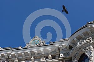 Historical Pavilion, KÃ¼Ã§Ã¼ksu, Hooded Crow