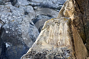 Historical petrographs. Carvings dating back 10 000 BC