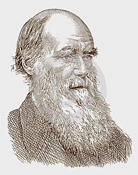 Historical portrait of Charles Darwin the famous scientist with a long beard