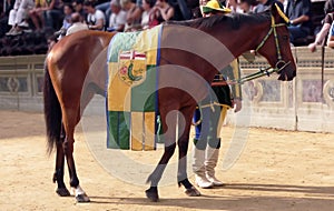 The Historical Procession Pali