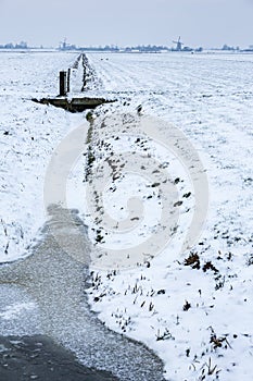 Historical windmills in a cold and snowy Dutch farmland.