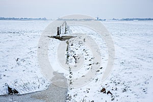 Historical windmills in a cold and snowy Dutch farmland.