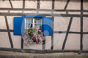 Historical windows with geraniums in alsatian village