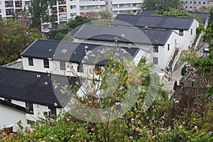 Histroic architecture structure at hong kong