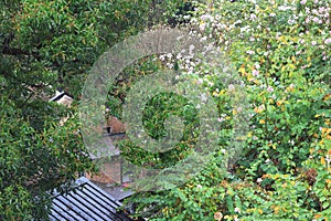 Histroic architecture structure of Jao Tsung I Academy