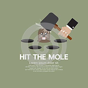 Hit The Mole Fun Game photo