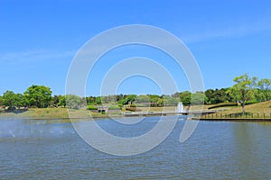 Hitachi Seaside Park photo