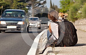 Hitchhike traveler with dog on the road
