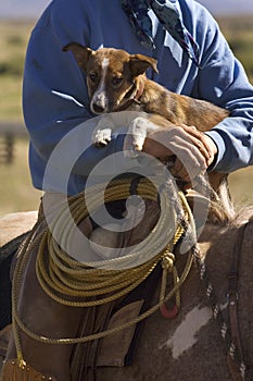 Hitching a Ride