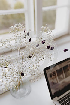 Hite gypsophila flowers by the window photo