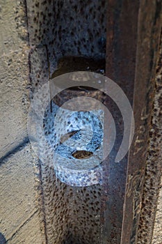 Hitler`s Nazi bunker `Barenholle` near Smolensk Russia.