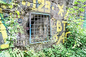 Hitler`s Nazi bunker `Barenholle` near Smolensk Russia.