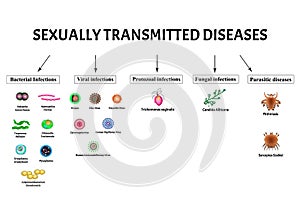 HIV, herpes, papilloma, hepatitis, cytomegalovirus, Zika. Set viral infections. Syphilis, Gonococcus, Chlamydiosis