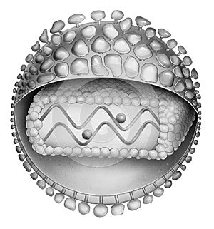 HIV Particle