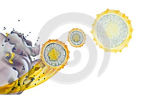 HIV - Treatment with Protease Inhibitors