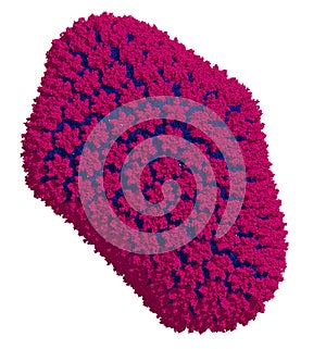 HIV-1 virus capsid. Retrovirus, causative agent of AIDS. Atomic-level structure. photo