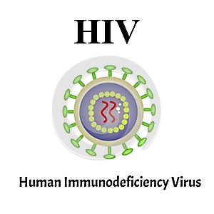 HIV virus structure. Viral infection HIV, AIDS. Sexually transmitted diseases. Infographics. Vector illustration on photo