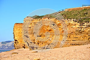 Hive Beach Cliffs at burton Bradstock